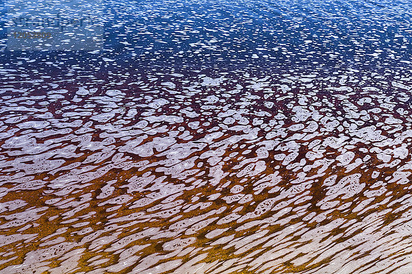 Bunte Muster auf der Oberfläche eines Baches; Karamea  Neuseeland