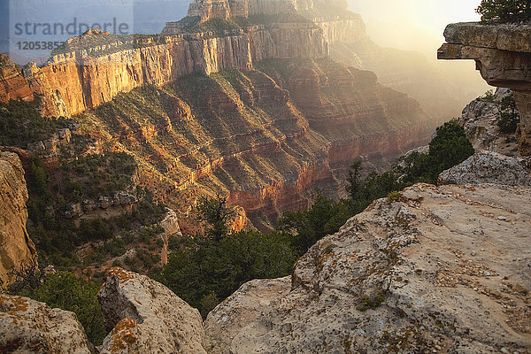 Blick in den Canyon und seine geologischen Formationen im Grand Canyon National Park  North Rim in der Nähe des Jacob Lake im Frühherbst; Arizona  Vereinigte Staaten von Amerika