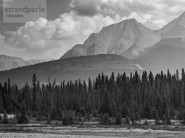 Schwarz-Weiß-Landschaft der zerklüfteten kanadischen Felsenberge mit einem Wald und einem Fluss im Vordergrund; Invermere  British Columbia  Kanada