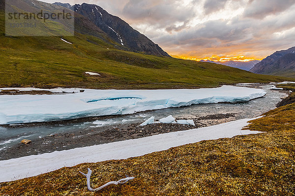 Ein Karibu-Geweih ruht neben einer unbenannten Abzweigung des Atigun-Flusses  die unter der Mitternachtssonne noch teilweise mit Aufeis bedeckt ist. in der Brooks Range; Alaska  Vereinigte Staaten von Amerika