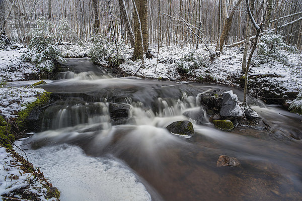 Wasser fließt über Felsen in einem Bach im Frühling mit Spuren von Schnee im Wald; Redbridge  Ontario  Kanada