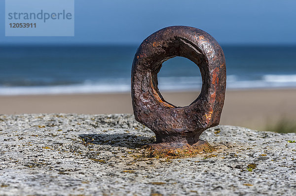 Rostiger Ring auf einem Felsen an der Küste mit einem Strand im Hintergrund; South Shields  Tyne and Wear  England