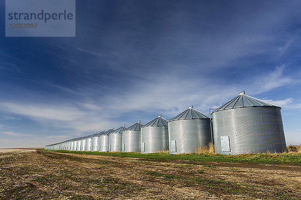 Eine lange Reihe von glänzenden Metall Getreidesilos reflektiert Sonnenlicht mit blauen Himmel und Wolken; Beiseker  Alberta  Kanada