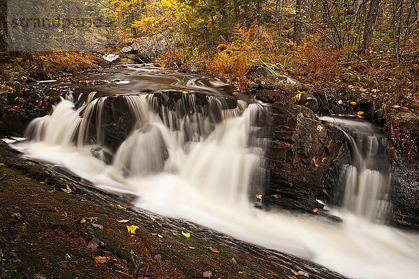 Wasserfall in einer herbstlich gefärbten Landschaft in der Nähe von Grand Lake; Nova Scotia  Kanada