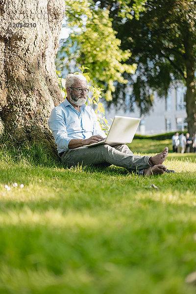 Erwachsener Mann mit Laptop im Park