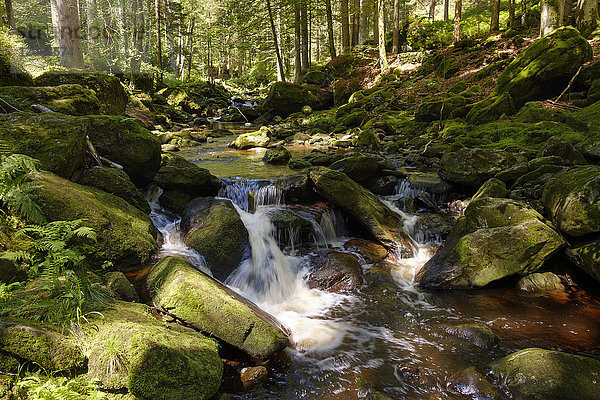 Deutschland  Bayern  Bayerischer Wald  Steinklamm