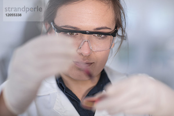 Wissenschaftler arbeitet im Labor mit einer Petrischale