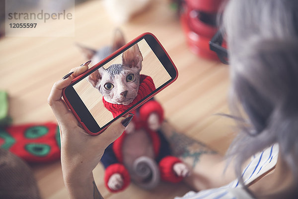 Frau macht Handyfoto von Sphynx-Katze mit Pullover