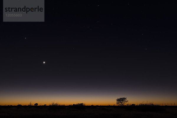 Namibia  Region Khomas  bei Uhlenhorst  Astrofoto  RIsing moon und Planet Venus über einem glühenden Savannenhorizont