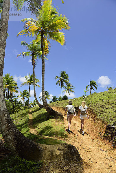 Dominikanische Republik  Samana  zwei Frauen beim Wandern auf einem Pfad mit Palmen
