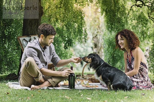 Pärchen mit Hund beim Picknick im Park