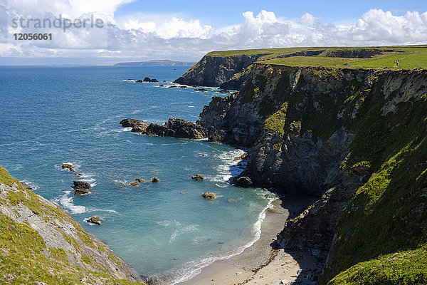 UK  England  Cornwall  Bucht mit Seehund am Godrevy Point