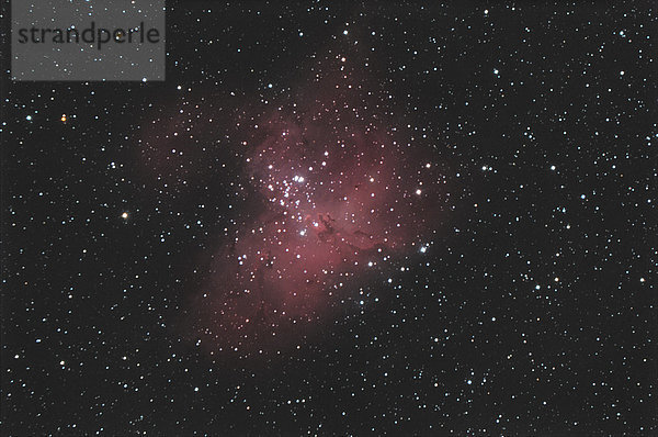 Astronomische Fotografie  M16 Adlernebel