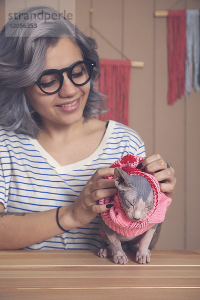Frau  die zu Hause einen rosa Pullover auf ihre Sphynx-Katze legt.