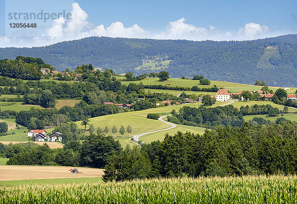 Deutschland  Rattiszell-Herrnfehlburg  Blick auf Schloss Herrnfehlburg