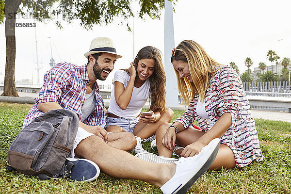 Drei glückliche Freunde sitzen im Park und teilen sich ein Smartphone.