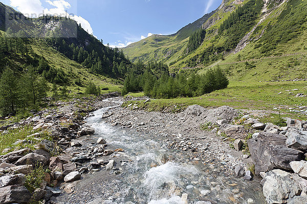 Österreich  Pinzgau  Rauris  Krumtal  Krumlbach