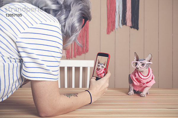 Frau macht Handyfoto von Sphynx-Katze mit Pullover und lustiger Brille