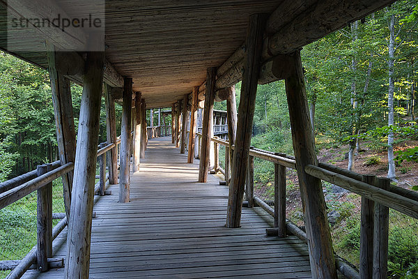 Deutschland  Bayern  Nationalpark Bayerischer Wald  leere Holzbrücke