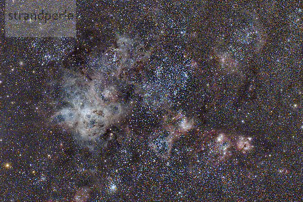 Namibia  Region Khomas  bei Uhlenhorst  Astrofoto des Emissionsnebels NGC 2070 oder Tarantel-Nebel in der Großen Magellanschen Wolke mit einem Teleskop