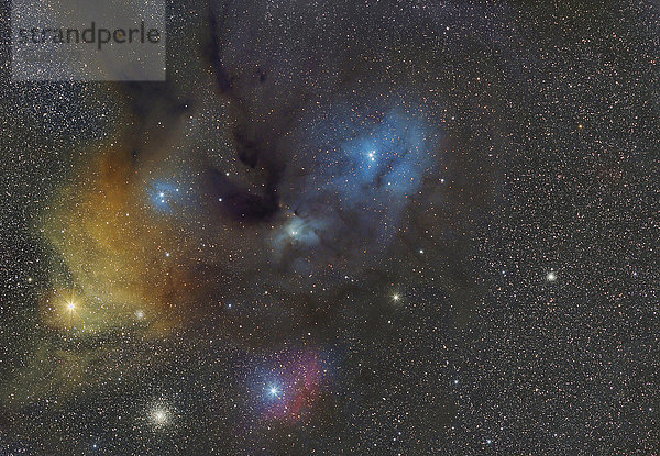 Namibia  Region Khomas  bei Uhlenhorst  Astrofoto der Region um den Rho Ophiuchi Nebel (IC 4604) mit einem Teleskop