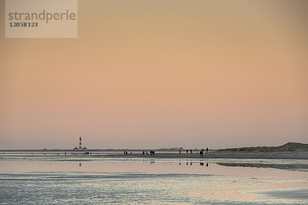 Strand  Sankt Peter-Ording  Schleswig-Holstein  Deutschland  Europa