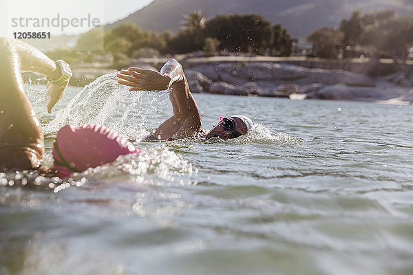 Weibliche Freischwimmerinnen schwimmen im sonnigen Meer