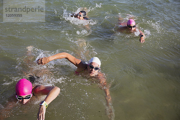 Draufsicht Freiwasser-Schwimmerinnen im sonnigen Meer