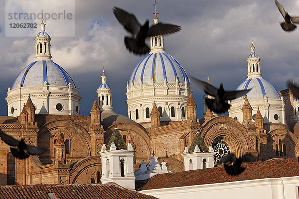 Tauben in der Luft  im Hintergrund die blauen Ziegeldächer der Kathedrale aus dem 19.