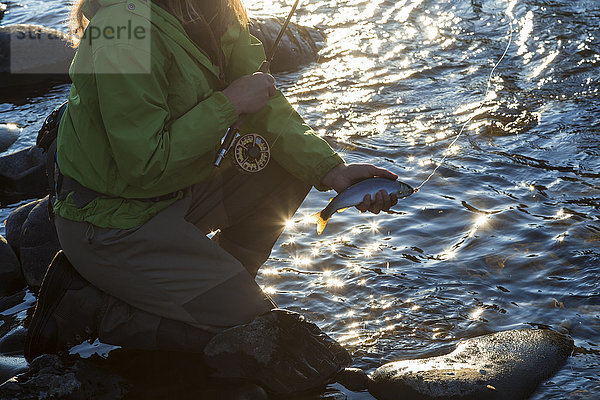 Hochwinkelaufnahme einer Fischerin  die auf einem Felsen im Flussbett kniet  die Angelrute und frisch gefangene Forellen hält.