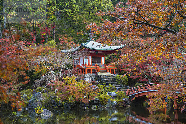 Park im Herbst mit einem traditionellen japanischen Tempel  der auf Felsen  See  Brücke und Bäumen errichtet wurde.