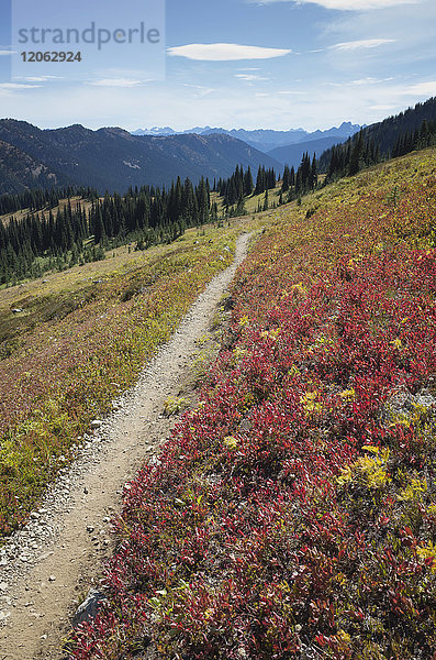 Wanderweg in den North Cascades  Pacific Crest Trail durch unberührte alpine Wildnis  Herbst  nahe Granite Pass  Pasayten Wilderness  Okanogan National Forest  Washington.
