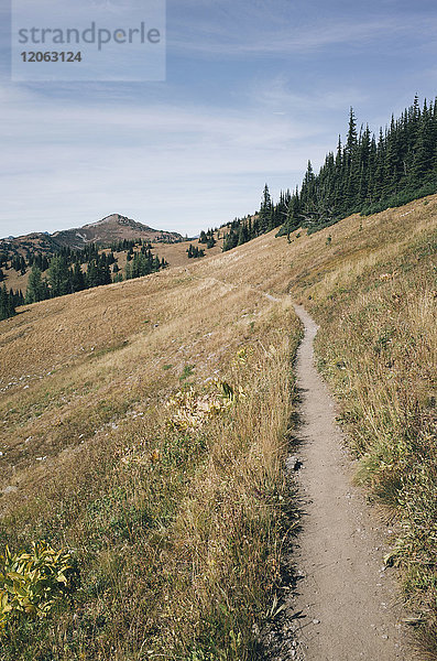 Pacific Crest Trail durch alpine Wiesen  in der Nähe des Harts Pass  Pasayten Wilderness  Washington.