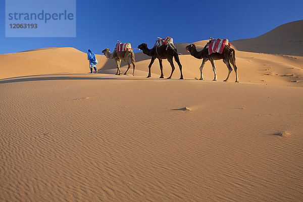 Tuareg-Mann führt Kamelzug durch die Wüste Sahara.