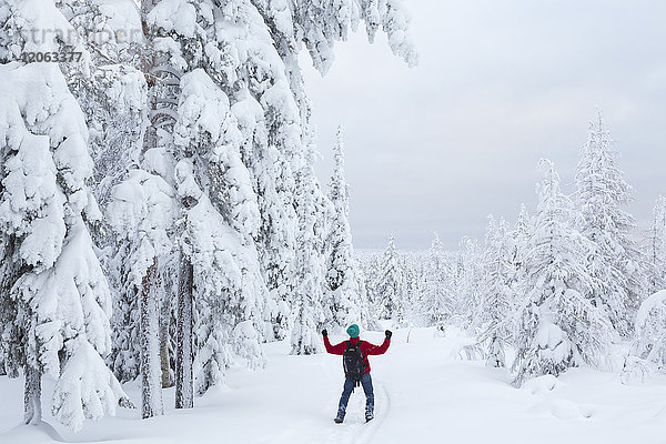 Rückansicht eines Mannes  der in einem Wald mit schneebedeckten Bäumen steht.