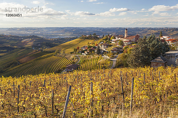 Hügelige mediterrane Landschaft mit Weinbergen und Stadt auf dem Hügel.