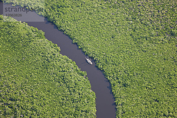 Luftaufnahme eines Segelbootes auf einem Fluss  der durch tropischen Regenwald fließt.