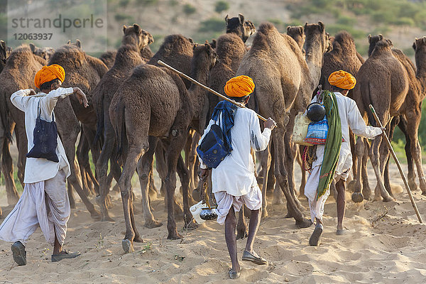 Rückansicht von drei Männern in traditioneller Kleidung  die eine Kamelherde durch den Sand führen.