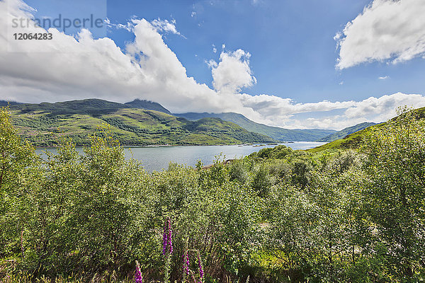 Blick auf einen See inmitten von Grünpflanzen und Bergen  Lochailort  Schottland