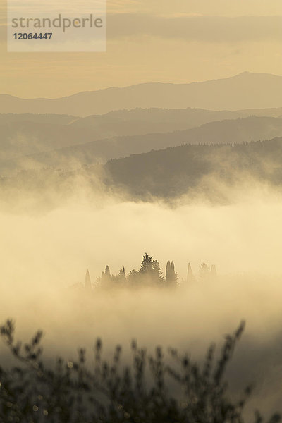 Frühmorgendliche Landschaft mit Nebel im Val di Pesa in der Toskana