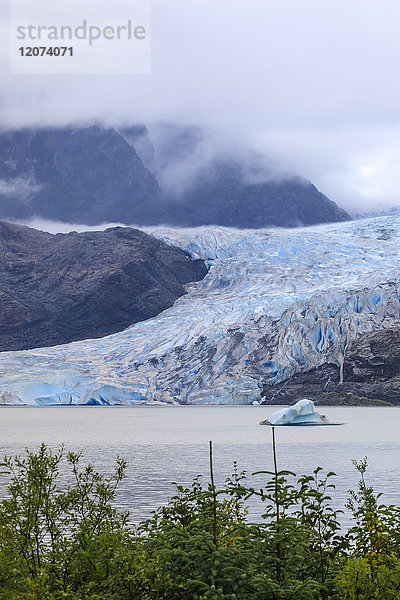Mendenhall Gletscher und See  mit Eisberg  leuchtend blauem Eis  Wald und Nebel  vom Besucherzentrum  Juneau  Alaska  Vereinigte Staaten von Amerika  Nordamerika