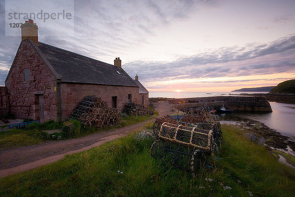 Cove  East Lothian  Schottland  Vereinigtes Königreich  Europa