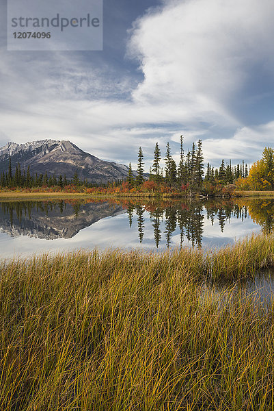 Herbstlaub und Bergsee  Icefields Parkway  Jasper National Park  UNESCO-Weltkulturerbe  Kanadische Rockies  Alberta  Kanada  Nordamerika