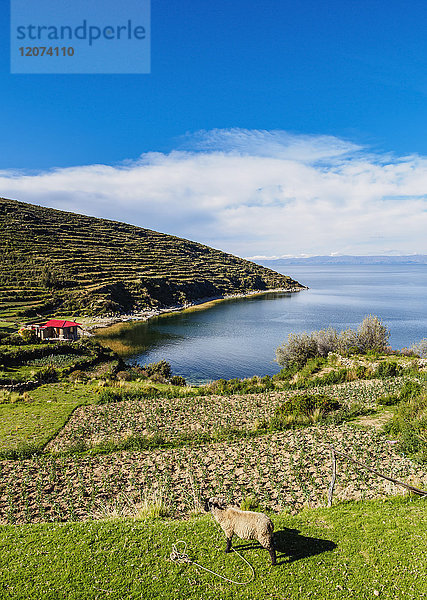 Insel der Sonne  Titicacasee  Departement La Paz  Bolivien  Südamerika