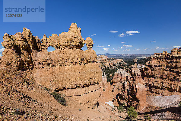 Blick auf Hoodoo-Formationen vom Navajo Loop Trail im Bryce Canyon National Park  Utah  Vereinigte Staaten von Amerika  Nordamerika