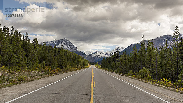 Icefields Parkway in Richtung der kanadischen Rocky Mountains  Jasper National Park  UNESCO-Weltkulturerbe  Kanadische Rockies  Alberta  Kanada  Nordamerika