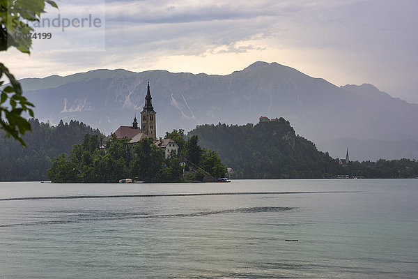 Insel Bled und Kirche Maria Himmelfahrt  Bled  Slowenien  Europa