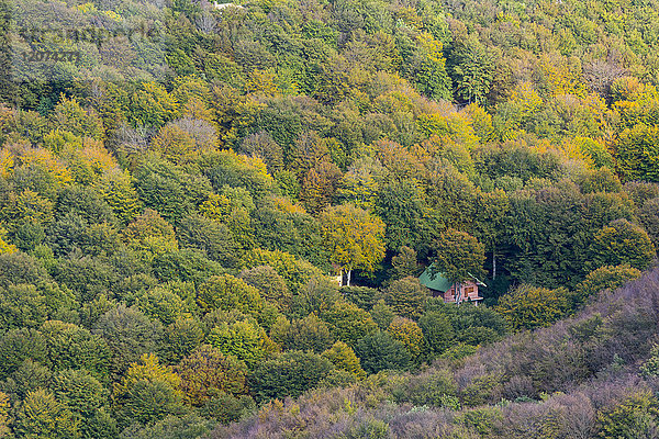 Kleines Haus im Wald im Herbst  Monte Cucco Park  Apennin  Umbrien  Italien  Europa