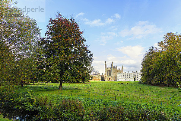 King's College Chapel von hinten  Universität Cambridge  Cambridge  Cambridgeshire  England  Vereinigtes Königreich  Europa