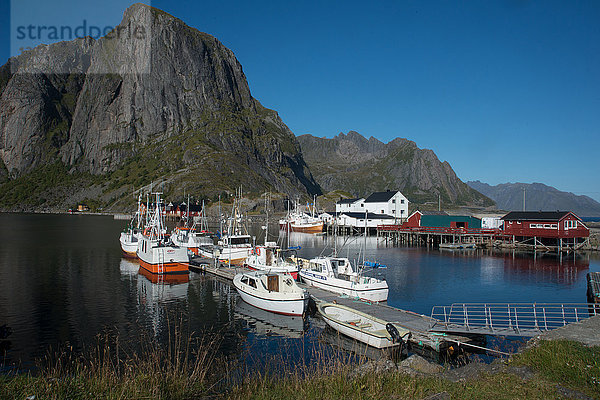 Blick auf den Hafen von Hamnoya  Lofoten-Inseln  Nordland  Norwegen  Skandinavien  Europa